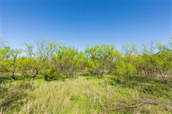 Hackberry Fields Tract 21