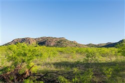 Hackberry Fields Tract 21