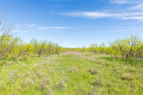 Hackberry Fields Tract 22