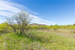 Hackberry Fields Tract 22