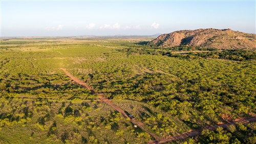 Hackberry Fields Tract 22