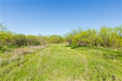 Hackberry Fields Tract 26