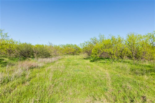 Hackberry Fields Tract 26
