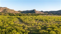 Hackberry Fields Tract 26