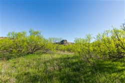 Hackberry Fields Tract 26