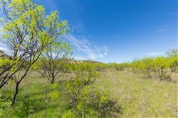 Hackberry Fields Tract 27