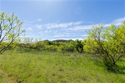 Hackberry Fields Tract 27