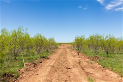 Hackberry Fields Tract 3
