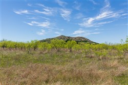 Hackberry Fields Tract 3
