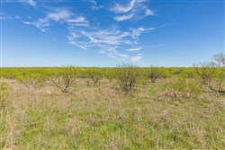 Hackberry Fields Tract 3