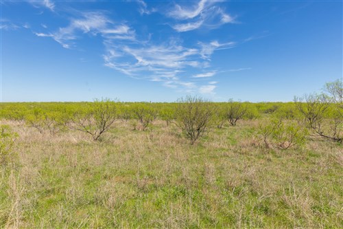 Hackberry Fields Tract 3
