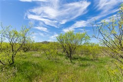 Hackberry Fields Tract 3