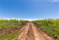 Hackberry Fields Tract 4