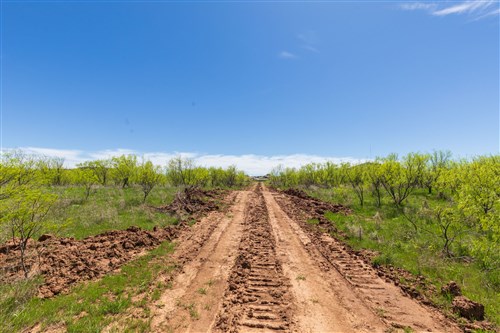Hackberry Fields Tract 4