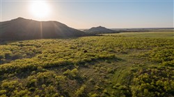 Hackberry Fields Tract 4