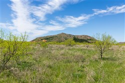 Hackberry Fields Tract 4