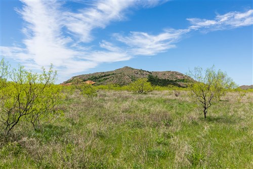 Hackberry Fields Tract 4