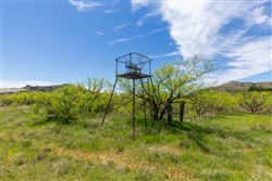 Hackberry Fields Tract 4