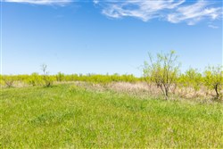 Hackberry Fields Tract 4