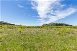 Hackberry Fields Tract 4
