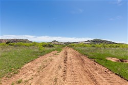 Hackberry Fields Tract 5