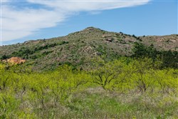 Hackberry Fields Tract 5