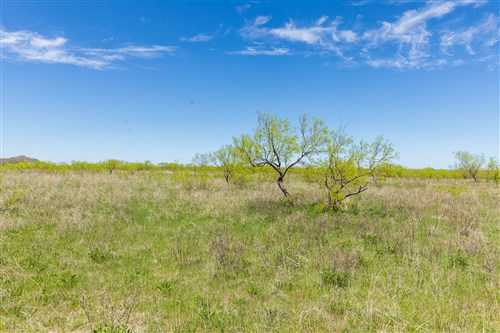 Hackberry Fields Tract 5