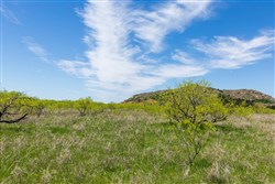 Hackberry Fields Tract 5