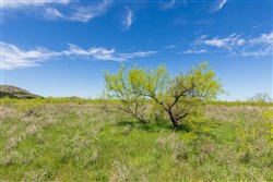 Hackberry Fields Tract 5