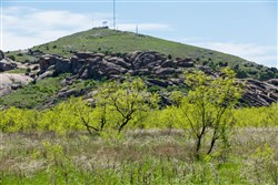 Hackberry Fields Tract 6