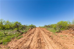 Hackberry Fields Tract 7