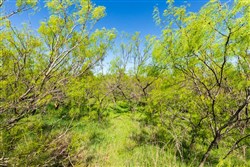 Hackberry Fields Tract 7