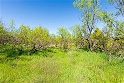 Hackberry Fields Tract 7