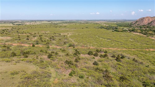Hackberry Fields Tract 8