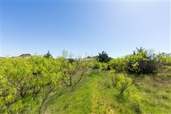 Hackberry Fields Tract 8