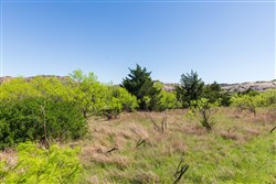 Hackberry Fields Tract 8