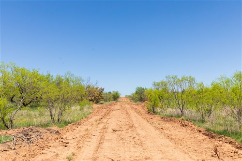 Hackberry Fields Tract 9