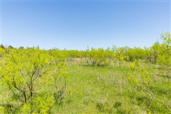 Hackberry Fields Tract 9