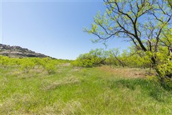 Hackberry Fields Tract 9