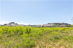 Hackberry Fields Tract 9
