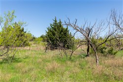 Hackberry Fields Tract 9