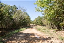 Stonebridge Tract 19