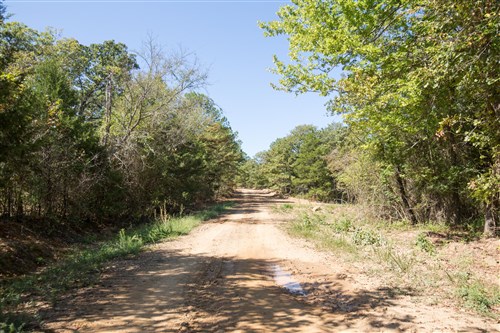 Stonebridge Tract 19