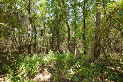 Stonebridge Tract 19