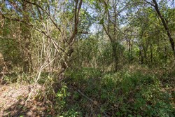 Stonebridge Tract 19
