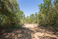 Stonebridge Tract 19