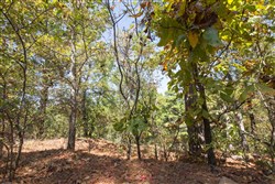 Stonebridge Tract 20