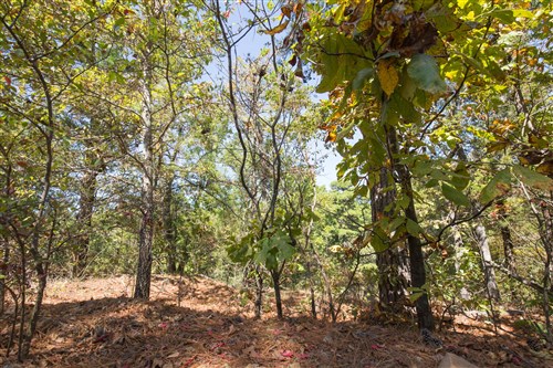 Stonebridge Tract 20