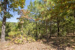 Stonebridge Tract 20