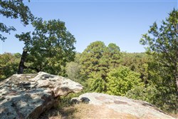 Stonebridge Tract 20